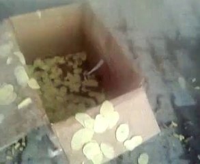 patates cipsi makinası