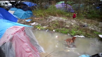 France - Grande-Synthe, camp de réfugiés ou "décharge à ciel ouvert" ?