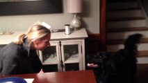 Dog hilariously confused by owner's new hat