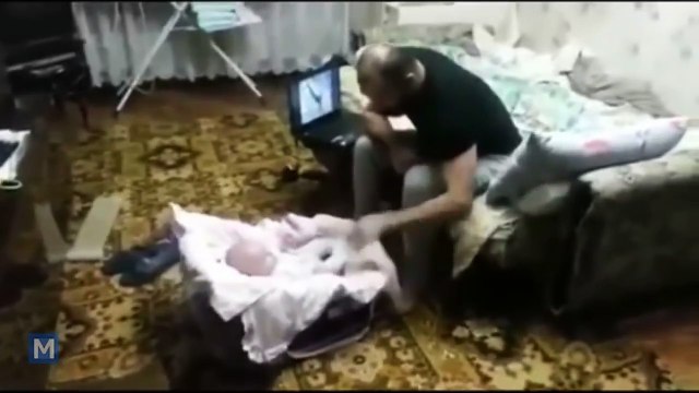 Regardez bien ce que fait ce chat quand ce papa «frappe» son bébé!