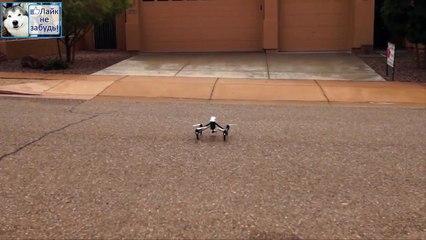 Купил дрон за 2000 баксов называется