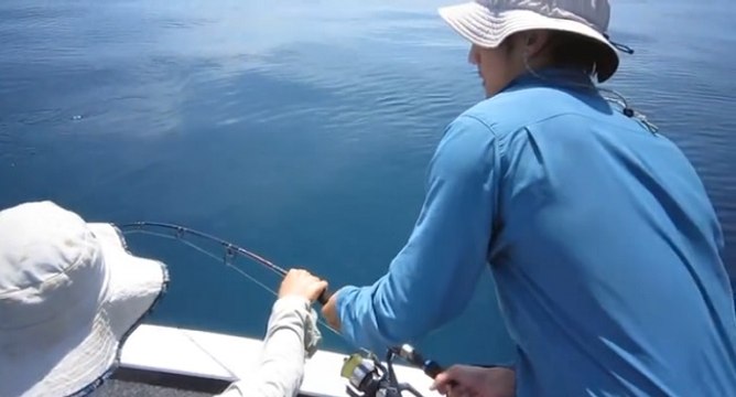 Insolite : un requin attaque le poisson d'un pêcheur