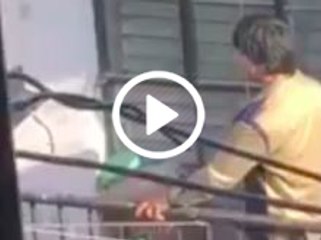 Shahrukh Khan Behind Movie Sets Dance Video Viral By Fan