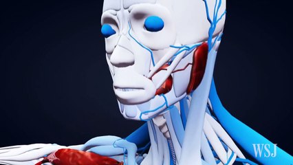 Hope for Male Infertility Solution