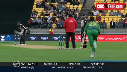 Fantastic Run Out By Rizwan Amazing Fielding