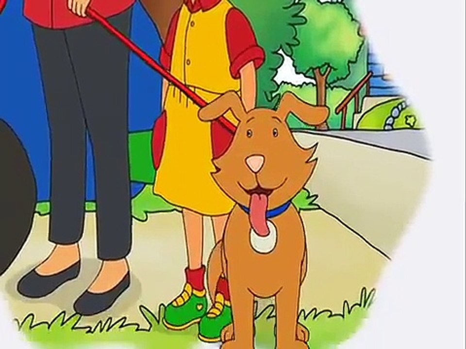 Caillou FRANÇAIS - Le criquet de Caillou (S05E01)