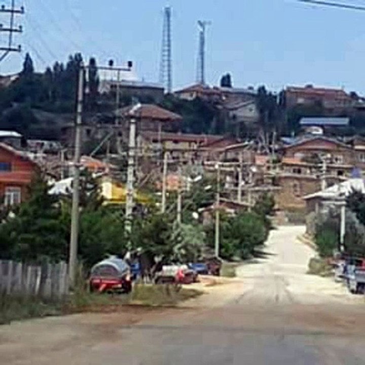Davut Yıldız
