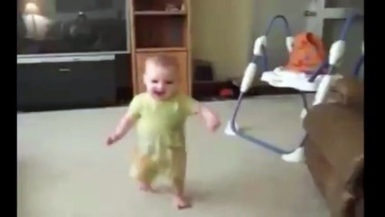 Funny Cat Videos For Kid --- Funny Cat Videos