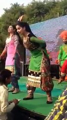 HOT AND SEXY PUNJABI GIRL DANCING IN A CONCERT