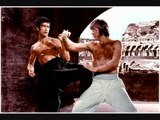 Chuck Norris vs. Segata Sanshiro IS DUMB! My response to the dumb logic for Bruce Lee vs.