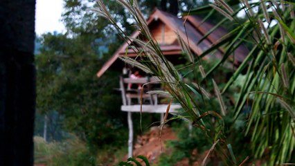 สานฝันเพื่อนกันตลอดไป ณ บ้านชานภู chanpu hill resort and camping  part 4 - Morning