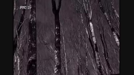 Radmila Dimic - Tri djevojke, tri jagluka vezle