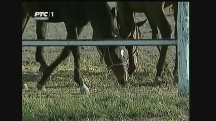 Biljana Cirovic - Zaspala devojka
