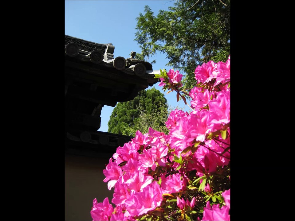 南都六宗律宗総本山唐招提寺@村崎一徳