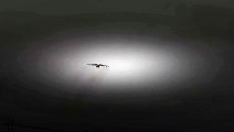 Largest Flying Aircraft Antonov An-22rCrosswind Landing!!!  Video Arts