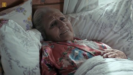 Tilki yeniden ortaya çıktı! | KVP 270