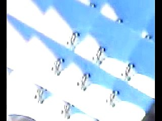 Visão de Inseto Formigas Ants Sight