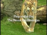 Poop at the Zoo: The Bronx Zoo's New Eco Restroom