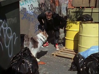 100 Deeds For Eddie McDowd - Season 2 - Episode 7 -So Shoe Me