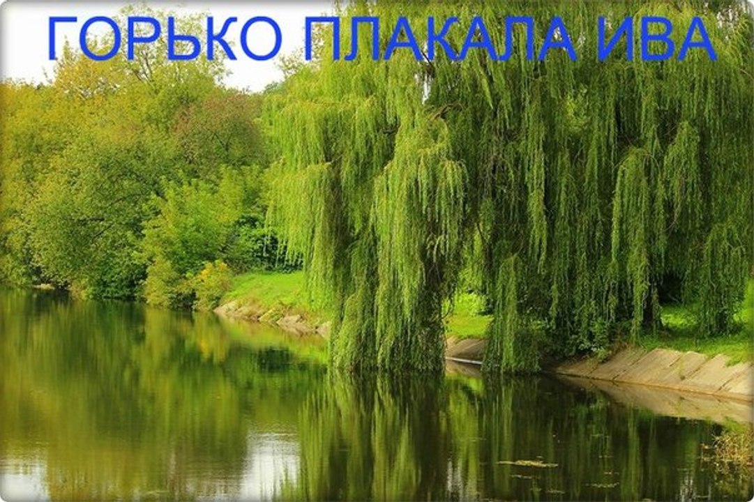 группа Нэнси  "Горько плакала ива"