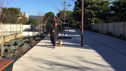 Education canine du chiot La Ciotat