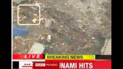 EXTRAÑA CRIATURA HUYENDO DE UN TSUNAMI // RazaDesconocida