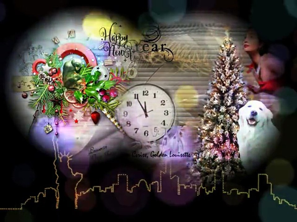 HAPPY NEW YEAR-BONNE ANNEE  2016