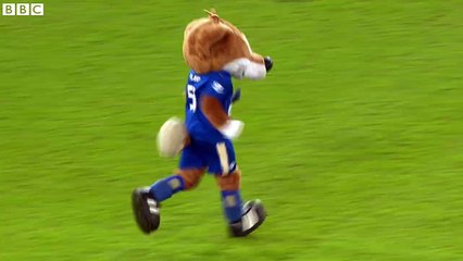 Top videobombing from Filbert the Fox...