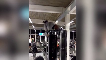 Desafío de Ejercicios: Solo para los Más Fuertes