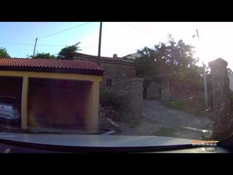 автокатастрофа должны смотреть вау вау