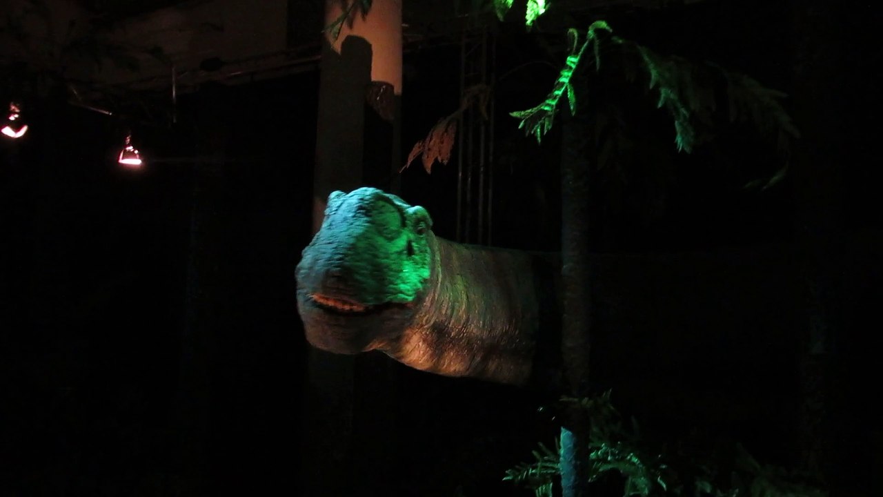 DinoPalaisDéc