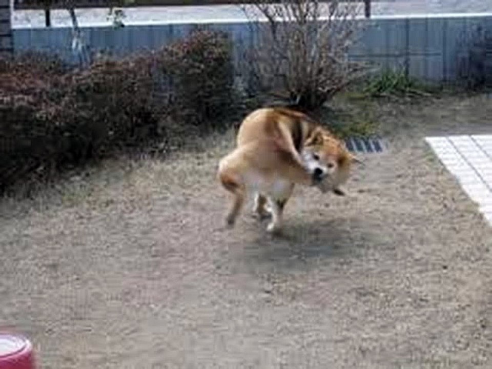 World's Most Amazing Moments Ever   Funny Videos   Hot Videos   Funny Clips   Funny Pictures