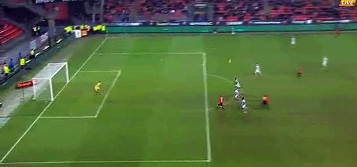 Kamil Grosicki Goal - Rennes 1 - 0 GFC Ajaccio - 22-01-2016