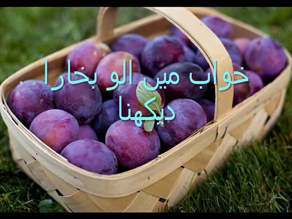 خواب میں الو بخارا دیکھنا