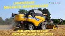 New Holland CX8050 Loonw. Meganck Haenebalcke zomergerst dorsen