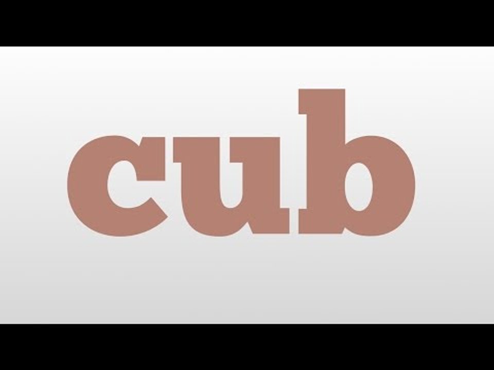 cub meaning and pronunciation video Dailymotion