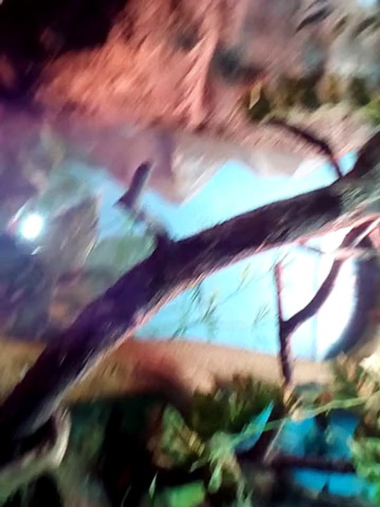 Прогулка по мини зоопарку в столице(1-часть)