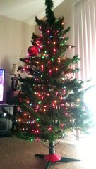 Cat Slaps Owner's Face