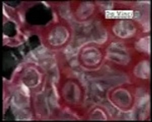 Alkol İçince Vücutta Neler Oluyor Yok Böyle Bir Şey