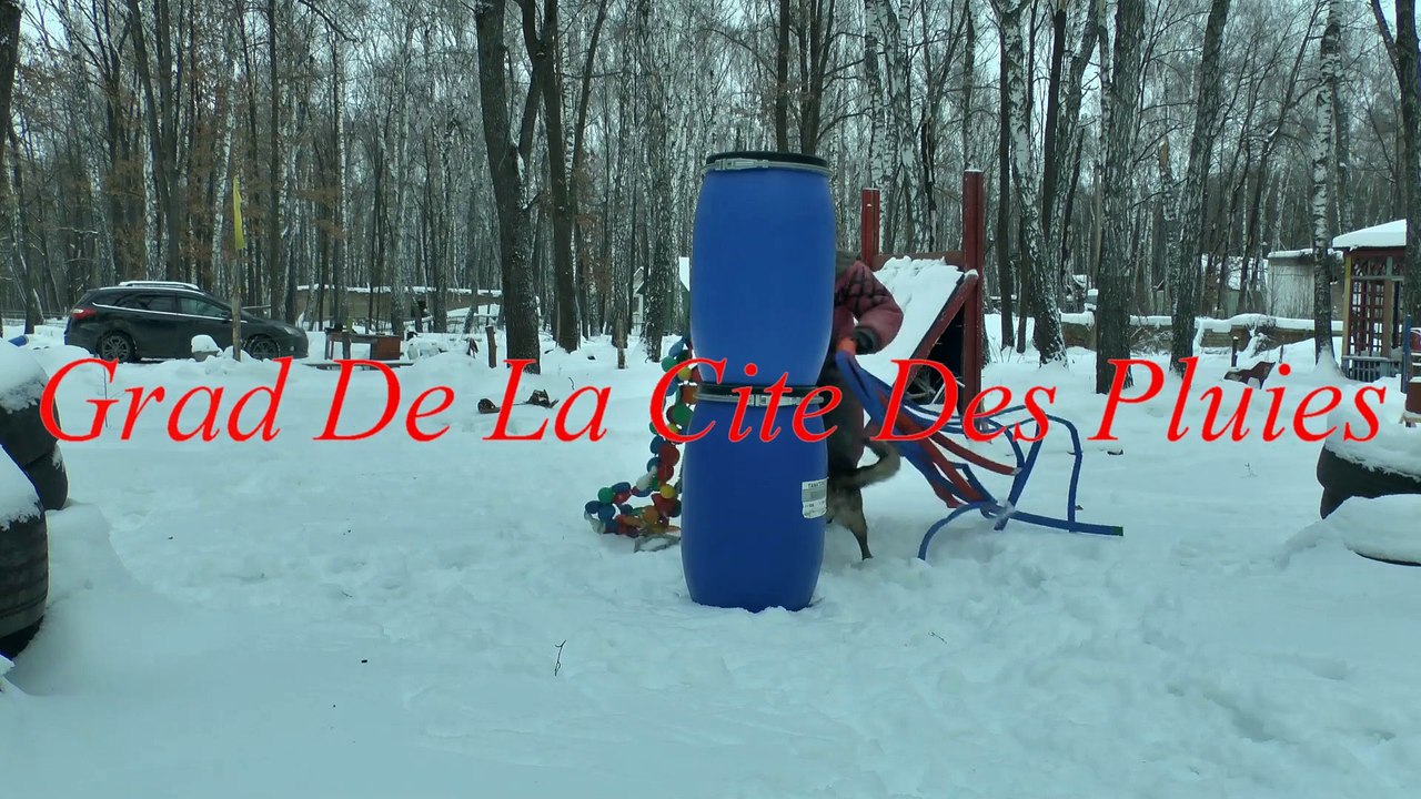 Зимний этюд