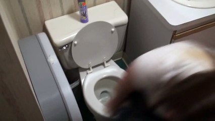 Tuvaletde Altına Sıçan Kadın