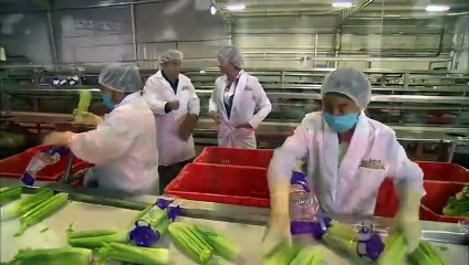 A DONA 22-01-2016 Capítulo 115 Parte 1/2