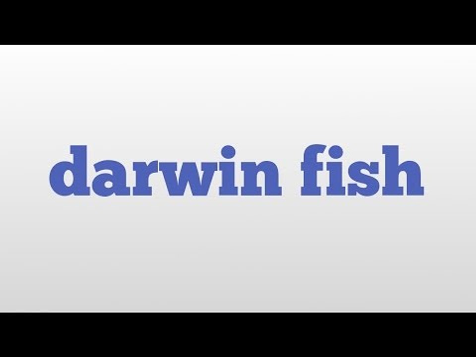 darwin fish meaning and pronunciation video Dailymotion