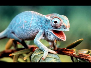 oKy Deep House Mix Deneme