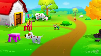 Hey Diddle Diddle Nursery Rhyme - ChaChas Funny Dream