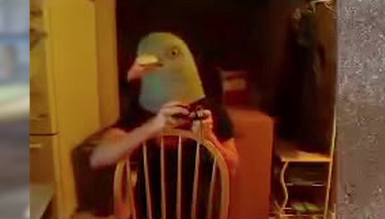 When Your Boyfriend is the Real Birdman...