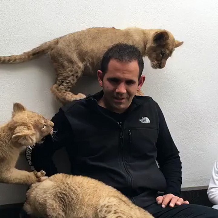 The lion kids!