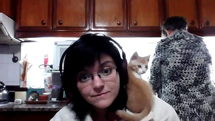 Humor: Vea cómo este gato le muerde el cabello a su dueña mientras escuchaba música