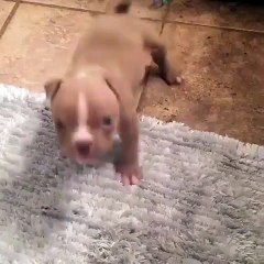 I'm hungry! Feed me!