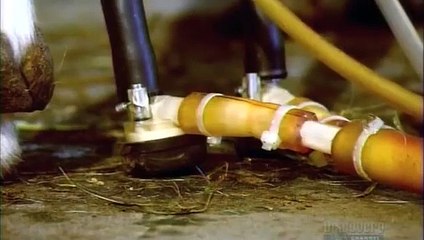 How Its Made 604 Goat Cheese